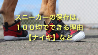 １００均でできる ジップロックで ナイキのスニーカーの保存 Papagozine