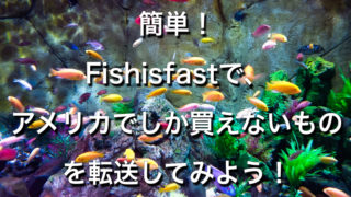 簡単 Fishisfastで アメリカでしか買えない物を転送 Papagozine